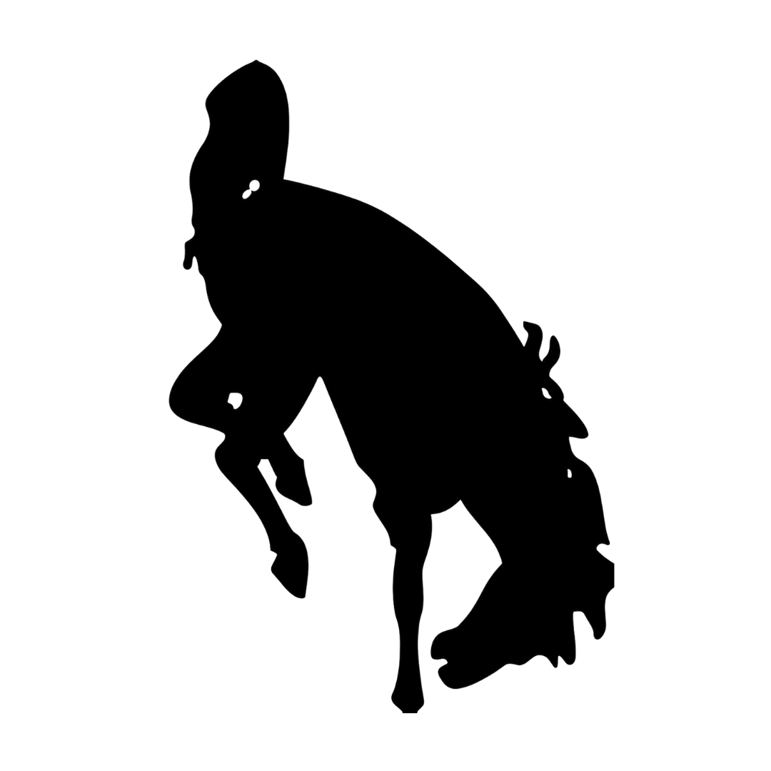 Bucking bronco silhouette high school logo